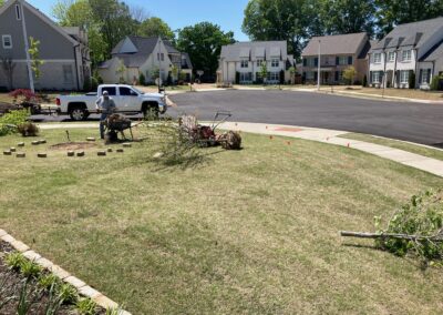 Construction of new flower bed